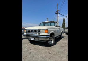 1988 Ford F-150 Photo