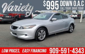 2010 Honda Accord Photo