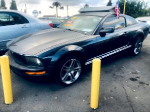 2007 Ford Mustang Photo