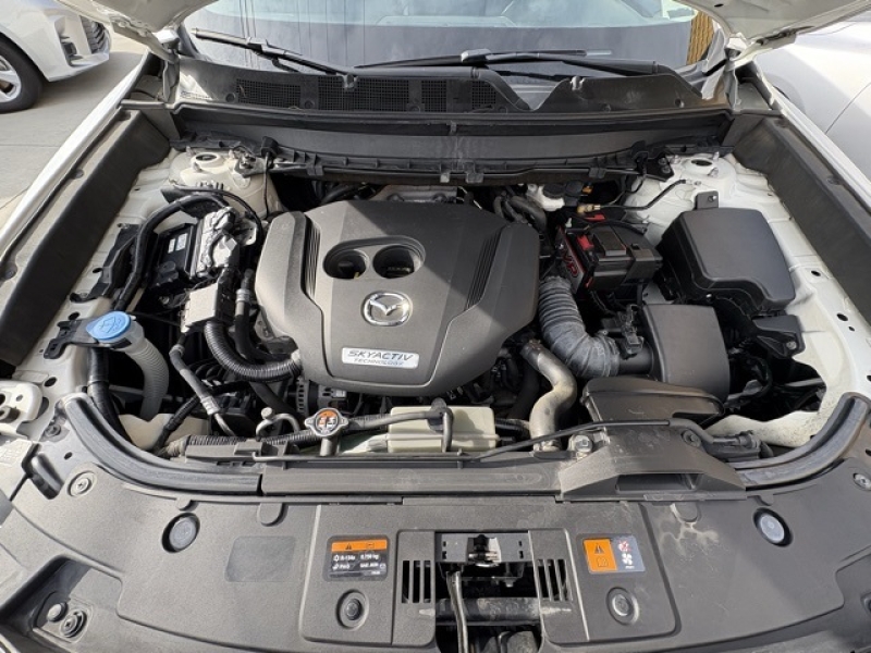large picture of 2019 Mazda CX-9