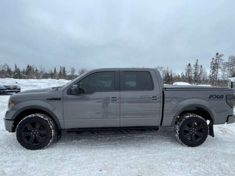 2013 Ford F-150 Photo