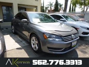 2013 Volkswagen Passat Photo