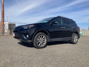 2018 Toyota RAV4 Photo
