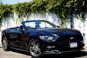2015 Ford Mustang Photo
