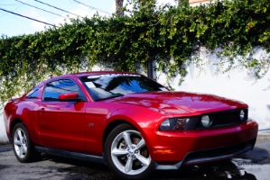 2010 Ford Mustang Photo