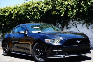 2015 Ford Mustang Photo