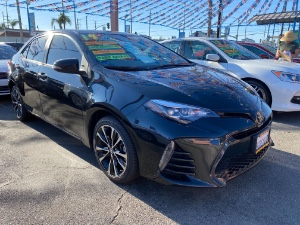 2019 Toyota Corolla Photo