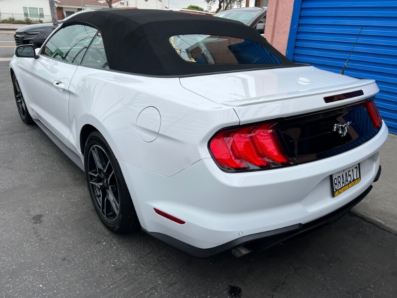 2020 Ford Mustang EcoBoost's photo