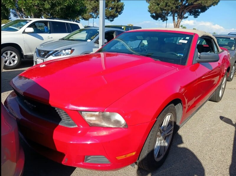 2010 Ford Mustang Photo