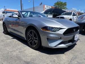 2021 Ford Mustang Photo