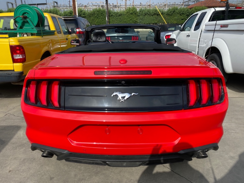 2019 Ford Mustang EcoBoost's photo