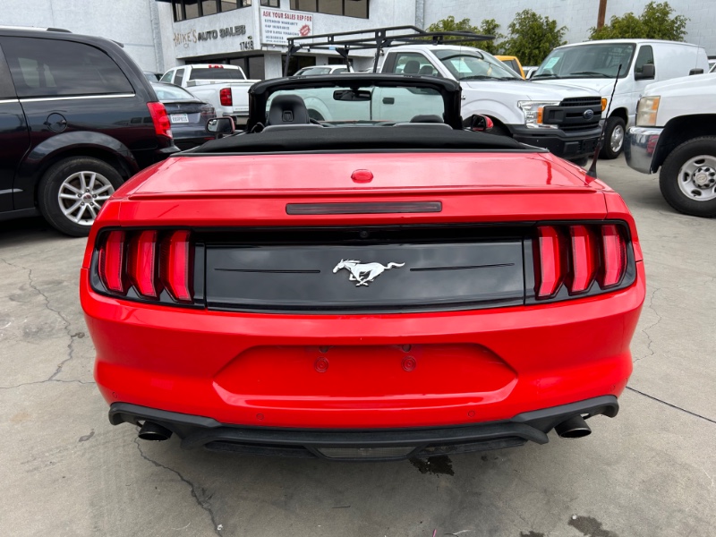 2020 Ford Mustang EcoBoost's photo