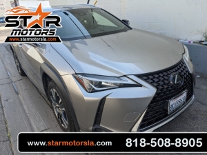 2019 Lexus UX 200 Photo
