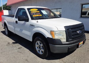 2010 Ford F-150 Photo