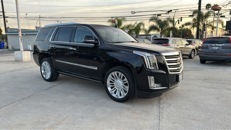 2016 Cadillac Escalade Platinum's photo