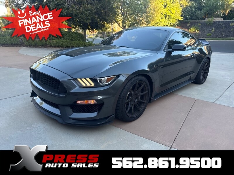 2019 Ford Mustang Shelby GT350 - Photo 9