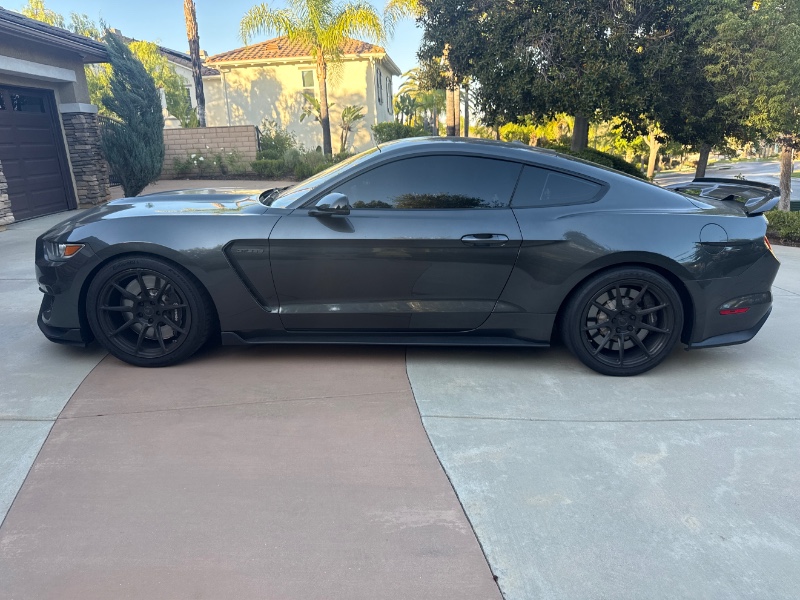 2019 Ford Mustang Shelby GT350 - Photo 10