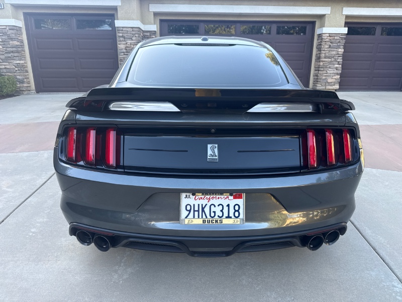2019 Ford Mustang Shelby GT350 - Photo 12