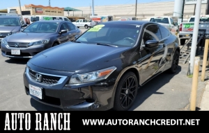 2010 Honda Accord Photo