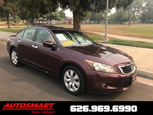 2010 Honda Accord Photo