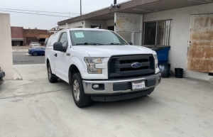 2015 Ford F-150 Photo