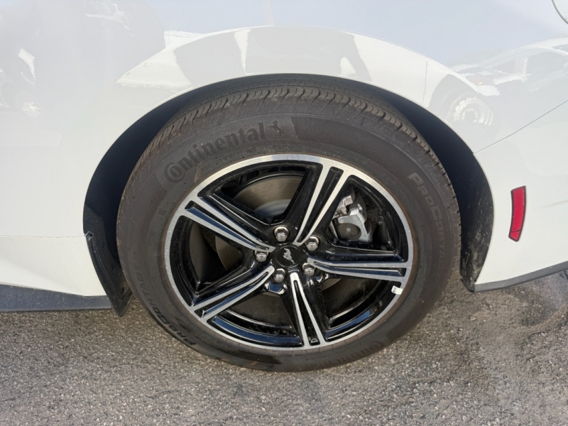 2025 Ford Mustang EcoBoost photo 15